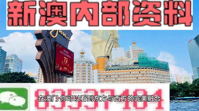 2024新澳今晚资料年051期,探索未来之门，新澳今晚资料年（2024年051期）展望与解析