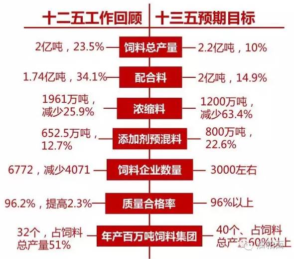 2025年1月26日 第55页