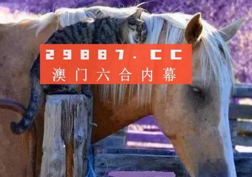 澳门二四六精准大全,澳门二四六精准大全，探索与解读